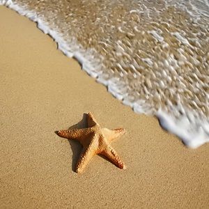 Meet your Posher, Elle